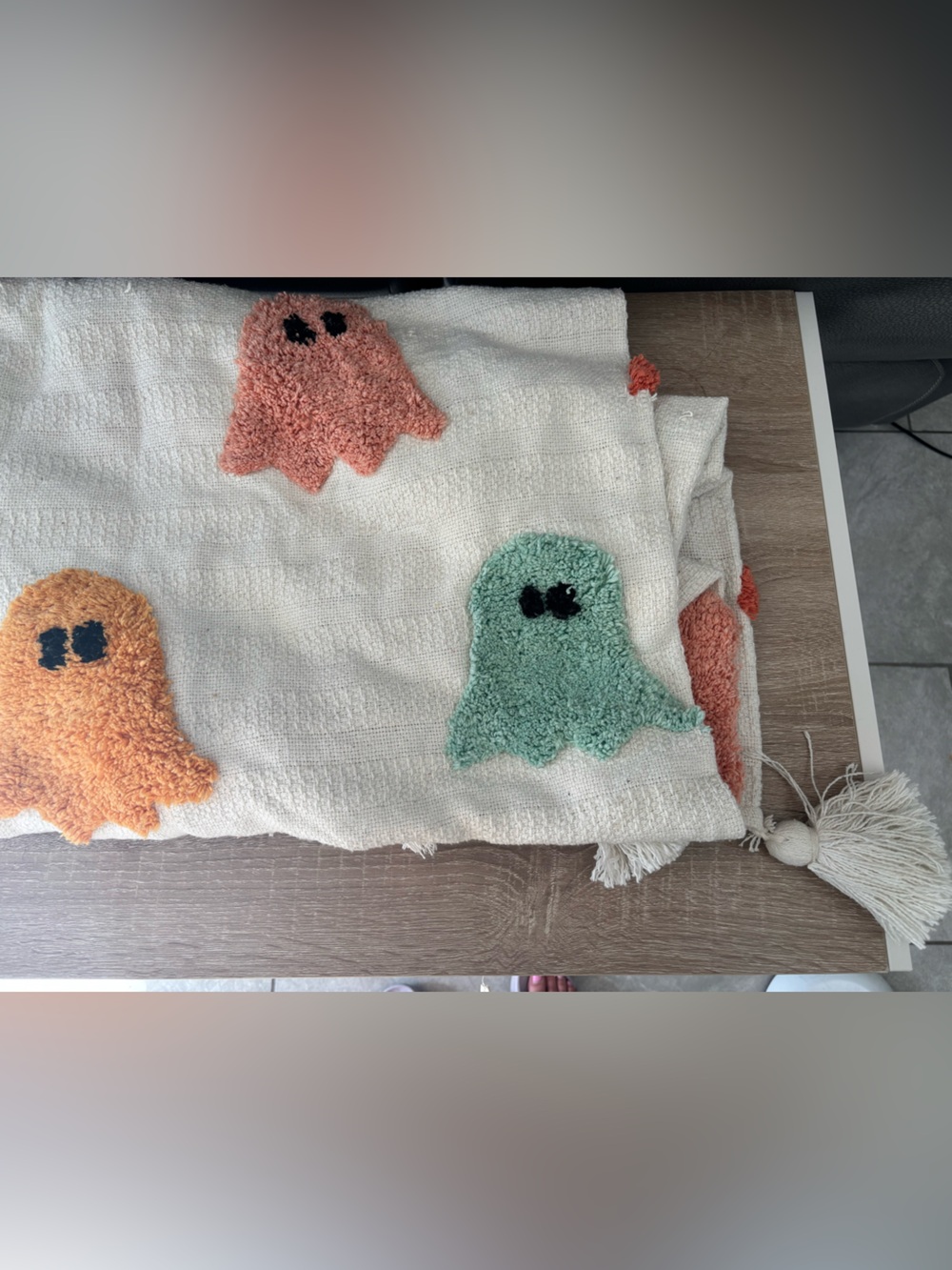 Rachel Zoe Farmhouse Pastel Ghost Blanket NWT